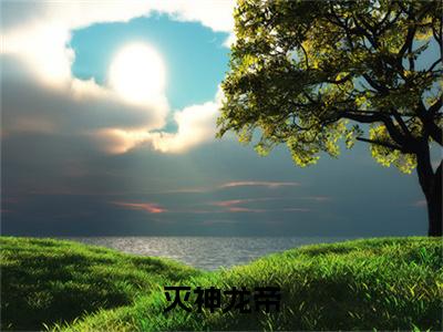 灭神龙帝（ 云凡云玉娇）全文免费阅读-小说灭神龙帝大结