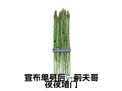 林斯理周豫（宣布单身后，前夫哥夜夜堵门）精彩满分小说-强烈推荐宣布单身后，前夫哥夜夜堵门（林斯理周豫）小说精彩全文阅读