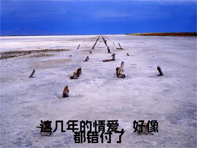 袁晓晓裴域(这几年的情爱,好像都错付了)全集免费阅读无弹窗_(这几年的情爱,好像都错付了小说免费阅读)_笔趣阁