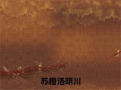 （苏橙洛明川）全文免费阅读无弹窗（苏橙洛明川）洛明川苏橙已完结全集大结局