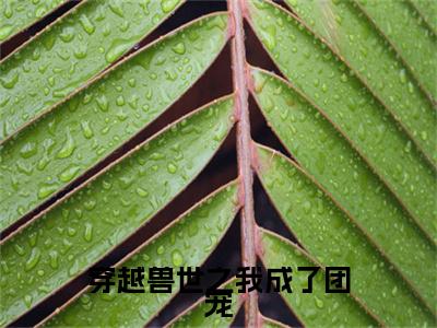 穿越兽世之我成了团宠全文免费阅读无弹窗大结局_(阿丽)阿丽最新章节列表_笔趣阁