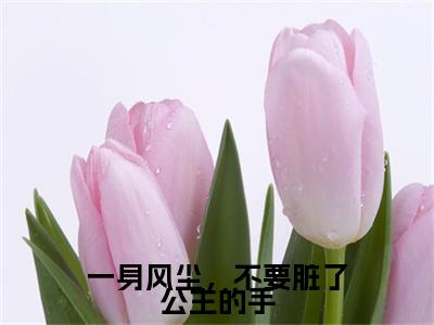 主角为赵云霓江墨尘的小说（一身风尘，不要脏了公主的手）大结局免费阅读-一身风尘，不要脏了公主的手全文免费阅读笔趣阁