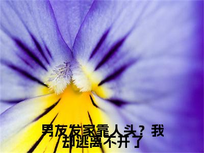 男友发家靠人头？我却逃离不开了精彩章节免费阅读_（ 徐晓薇肖恩）男友发家靠人头？我却逃离不开了抖音热推小说最新章节阅读