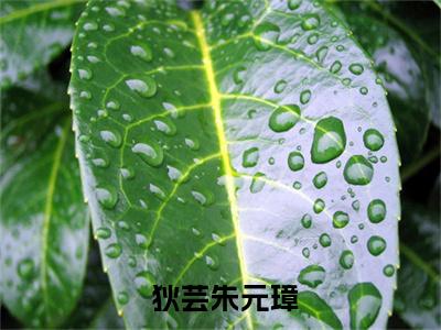  狄芸朱元璋抖音新书热荐 -大明：刚要处斩，万民血书告老朱狄芸朱元璋全文在线赏析（ 狄芸朱元璋）