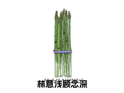 11（顾念深林意浅）全文免费阅读无弹窗大结局_（顾念深林意浅全文免费）林意浅顾念深最新章节列表（顾念深林意浅）