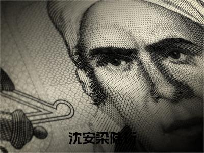 陆珩沈安染小说全文免费阅读_沈安染陆珩（陆珩沈安染）最新章节列表笔趣阁