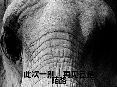 林深祁子瑜最新章节（此次一别，再见已是陌路）全文免费阅读无弹窗大结局_此次一别，再见已是陌路小说全文免费阅读正版无弹窗_笔趣阁（林深祁子瑜）