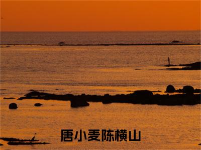 唐小麦陈横山小说好看吗 唐小麦陈横山热门推荐小说（唐小麦陈横山）全章节阅读_笔趣阁