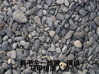 真千金一睁眼，满级马甲爆虐人渣聂轻舟谢景春正版小说最新章节在线阅读-2023最火热点小说真千金一睁眼，满级马甲爆虐人渣最新更新