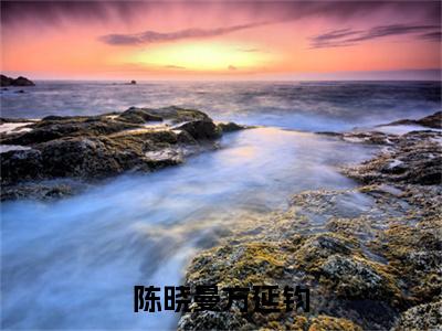陈晓曼方延钧免费阅读无弹窗大结局-陈晓曼方延钧(陈晓曼方延钧最新全章节大结局)全文阅读