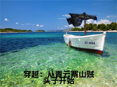 穿越：从青云寨山贼头子开始小说（张道）全文免费阅读无弹窗大结局_(张道)穿越：从青云寨山贼头子开始小说无弹窗精彩阅读_笔趣阁