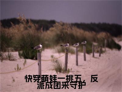 快穿萌娃一挑五，反派成团来守护（月宝）全文免费阅读最新章节_快穿萌娃一挑五，反派成团来守护大结局精彩阅读_笔趣阁（月宝）