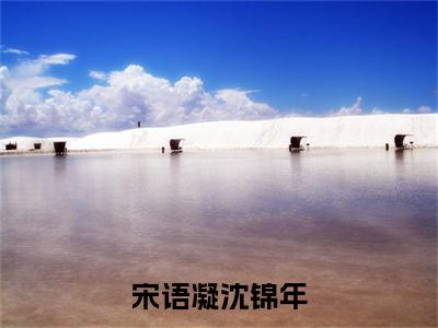 宋语凝沈锦年珍藏美文读物沈锦年宋语凝-沈锦年宋语凝已完结全集大结局小说宋语凝沈锦年