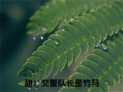 江轶津何汀渔小说免费阅读-甜！交警队长是竹马言情小说江轶津何汀渔讲的是什么