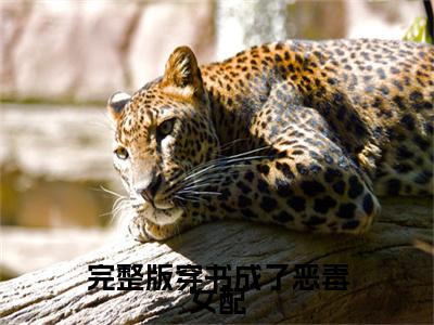 完整版穿书成了恶毒女配，她选择抱大腿全文免费阅读无弹窗-（ 周霜宁顾君陌）完整版穿书成了恶毒女配，她选择抱大腿最新章节列表在线阅读