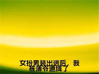 薄夜游离最新章节（女扮男装出逃后，我被薄爷通缉了 ）全文免费阅读无弹窗大结局_女扮男装出逃后，我被薄爷通缉了 小说全文免费阅读正版无弹窗_笔趣阁（薄夜游离）
