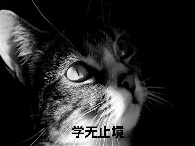  叶凌尘李修罗（学无止境）在线阅读的小说完整版-学无止境（ 叶凌尘李修罗）小说免费阅读