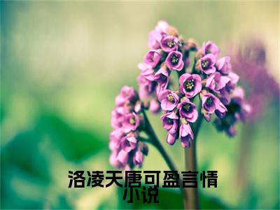  洛凌天唐可盈：反派：开局点满多情浪子属性，主角破防阅读无弹窗大结局_（ 洛凌天唐可盈阅读无弹窗）最新章节列表_笔趣阁（ 洛凌天唐可盈）