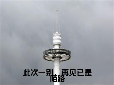 林深祁子瑜（此次一别，再见已是陌路）全文免费阅读无弹窗大结局_此次一别，再见已是陌路全文在线阅读