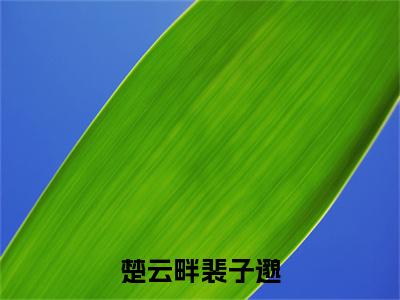 楚云畔裴子邈（裴子邈楚云畔小说）全文免费阅读无弹窗大结局_楚云畔裴子邈最新章节列表笔趣阁（裴子邈楚云畔）