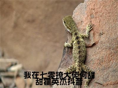 主角是 何甜甜霍英杰的小说叫什么名字我在七零撩大佬何甜甜霍英杰-老书虫书荒推荐热点小说我在七零撩大佬何甜甜霍英杰（ 何甜甜霍英杰）