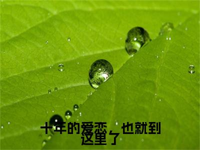 （十年的爱恋，也就到这里了）全文免费阅读-十年的爱恋，也就到这里了（宋星漓江清衍）最新章节列表阅读