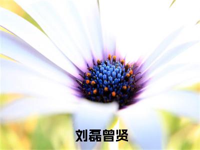 国运：九岁扮演宿傩，吓尿樱花国( 刘磊曾贤)免费全文阅读小说_国运：九岁扮演宿傩，吓尿樱花国最新章节列表-笔趣阁（ 刘磊曾贤）