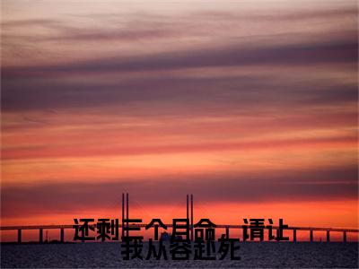 庄子昂（还剩三个月命，请让我从容赴死）免费阅读无弹窗大结局-还剩三个月命，请让我从容赴死（最新全章节大结局）全文阅读