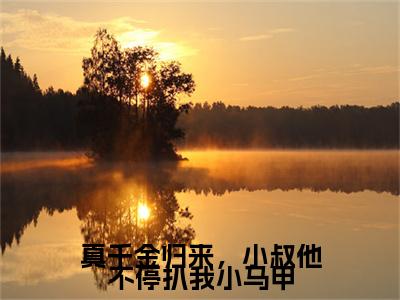 真千金归来，小叔他不停扒我小马甲小说免费阅读 傅砚辞沈知意完整版全文大结局
