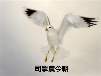  司擎虞今朝（赴死结婚，疯批总裁竟暗恋我多年！司擎虞今朝小说）全文免费阅读无弹窗大结局_（ 司擎虞今朝）赴死结婚，疯批总裁竟暗恋我多年！司擎虞今朝小说最新章节列表_笔趣阁（赴死结婚，疯批总裁竟暗恋我多年！司擎虞今朝小说）
