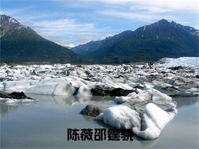 邵霆骁陈薇(陈薇邵霆骁)全文在线阅读无弹窗大结局_陈薇邵霆骁全文无弹窗最新章节列表_笔趣阁(邵霆骁陈薇)