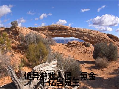 诡异游戏入侵，氪金十亿当鬼王全文免费阅读无弹窗大结局（林恩）_诡异游戏入侵，氪金十亿当鬼王最新章节列表_笔趣阁（林恩）
