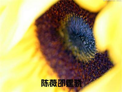 陈薇邵霆骁（邵霆骁陈薇）全文免费阅读无弹窗大结局_(邵霆骁陈薇)陈薇邵霆骁免费阅读无弹窗最新章节列表_笔趣阁（陈薇邵霆骁）