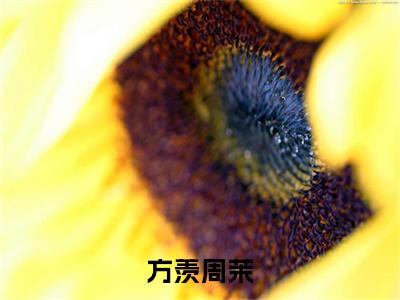 周茉方羡小说-《方羡周茉》完整章节阅读无弹窗免费阅读大结局