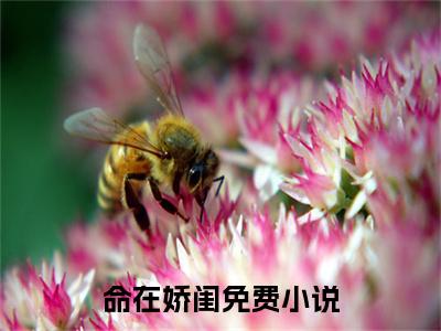 命在娇闺（ 秦宁之顾景元）老书虫推荐小说热文-命在娇闺最新更新免费阅读