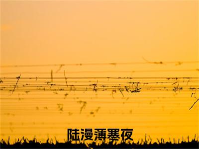陆漫薄寒夜免费小说 陆漫薄寒夜全文完整版阅读