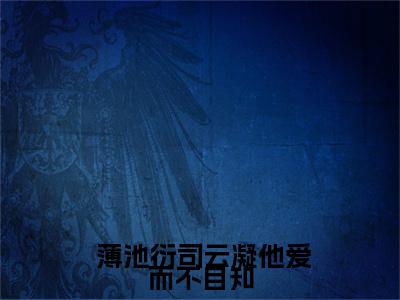 他爱而不自知，离婚后追妻火葬场（ 薄池衍司云凝）全文免费大结局小说-他爱而不自知，离婚后追妻火葬场全文最新章节阅读