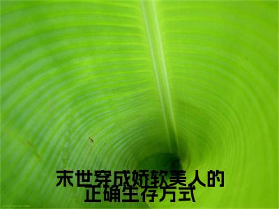 末世穿成娇软美人的正确生存方式（南司 ）全文免费阅读_末世穿成娇软美人的正确生存方式言诺诺,井傅宸 小说最新章节列表笔趣阁
