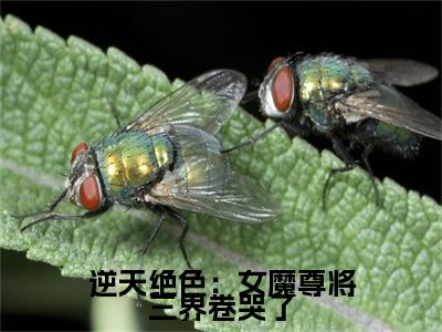 逆天绝色:女魔尊将三界卷哭了(安宁)小说全文免费阅读无弹窗大结局_(安宁)逆天绝色:女魔尊将三界卷哭了最新章节列表(安宁)