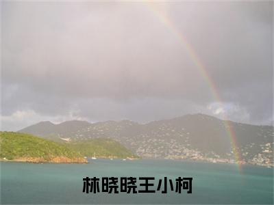王小柯林晓晓(林晓晓王小柯)全文免费阅读无弹窗大结局_(王小柯林晓晓)林晓晓王小柯小说在线阅读无删减
