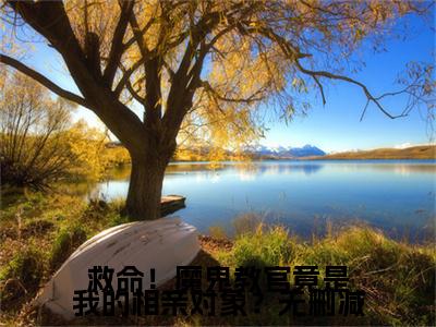 救命！魔鬼教官竟是我的相亲对象？小说全文免费阅读小说 沈东辰沈东辰热门小说完整版阅读