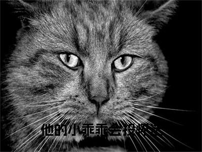 许滢萧煦的小说主角（他的小乖乖会投怀送抱）免费阅读_他的小乖乖会投怀送抱热搜小说完结版阅读