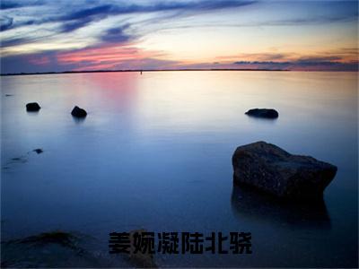陆北骁姜婉凝(陆北骁姜婉凝)全文免费阅读无弹窗大结局_姜婉凝陆北骁最新章节列表_