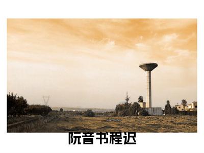 主角为程迟阮音书的小说（阮音书程迟）大结局免费阅读-阮音书程迟全文免费阅读笔趣阁