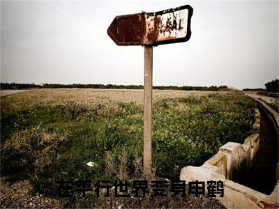 在平行世界变身申鹤热门推荐小说（沈鹤）精彩章节阅读-在平行世界变身申鹤全文免费在线阅读_笔趣阁