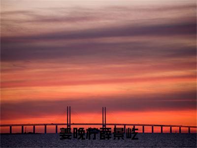 薛景屹姜晚柠（姜晚柠薛景屹）全文免费阅读无弹窗大结局_薛景屹姜晚柠最新章节列表_笔趣阁（姜晚柠薛景屹）