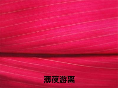 薄夜游离(游离薄夜)全文免费阅读无弹窗_薄夜游离完整版最新阅读_笔趣阁（游离薄夜）
