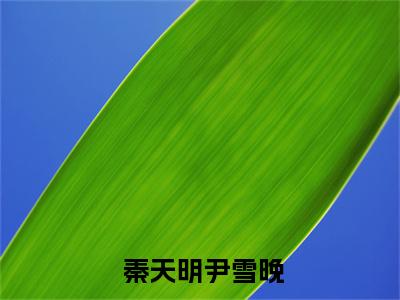 秦天明尹雪晚（权途红颜秦天明尹雪晚试读终章）全文在线阅读无弹窗大结局_( 秦天明尹雪晚在线阅读)最新章节列表_笔趣阁（权途红颜秦天明尹雪晚试读终章）