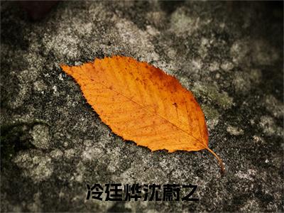冷廷烨沈蔚之（沈蔚之冷廷烨）全文免费阅读_冷廷烨沈蔚之免费阅读最新章节列表笔趣阁（沈蔚之冷廷烨）