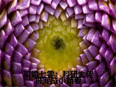 宋晏洲叶暮的小说（军婚七零：科研大佬被宠成小娇妻）免费阅读_宋晏洲叶暮小说免费阅读-笔趣阁（军婚七零：科研大佬被宠成小娇妻）